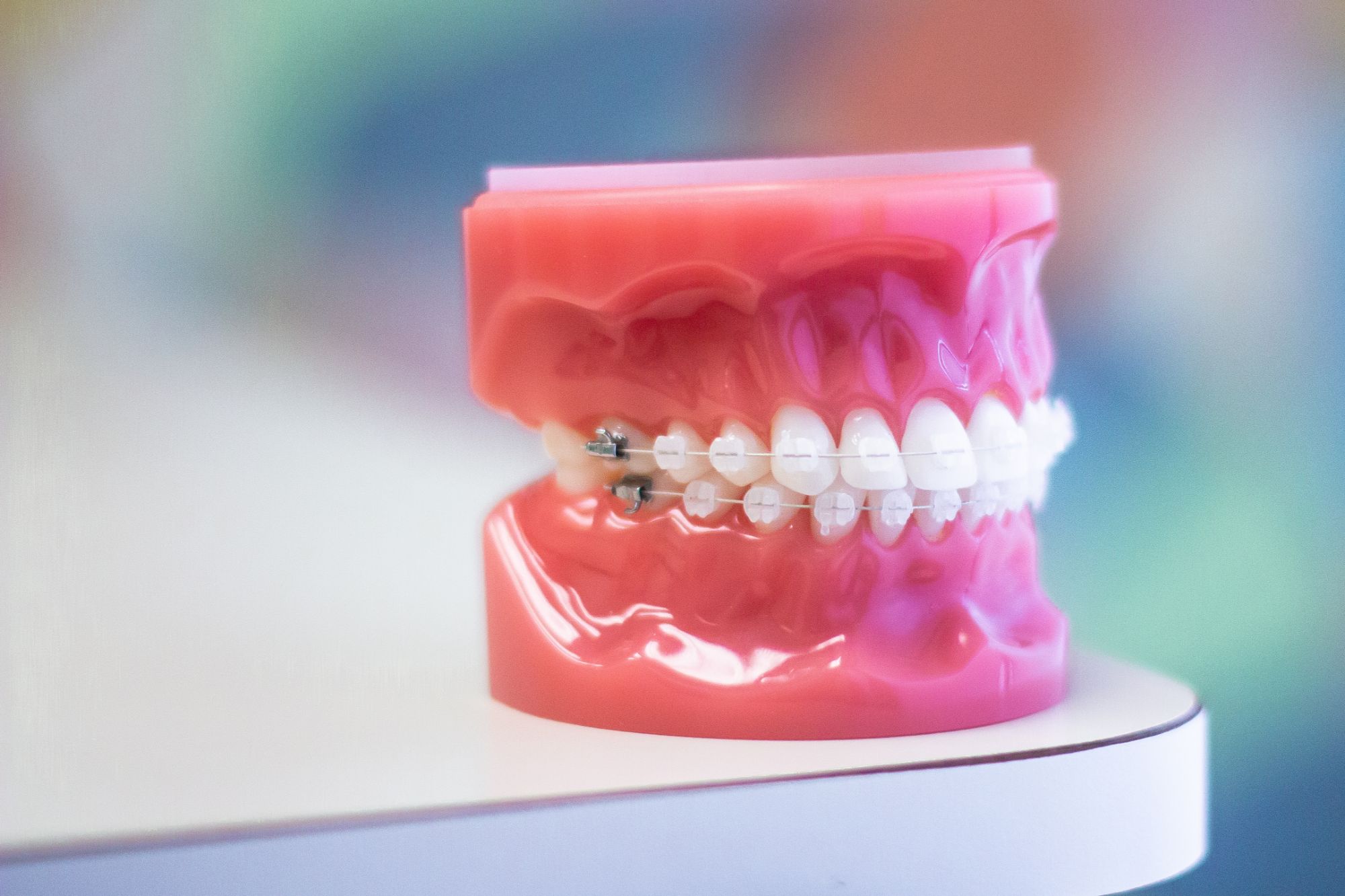 state college orthodontics