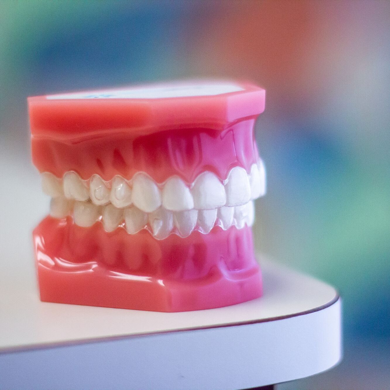 state college orthodontics
